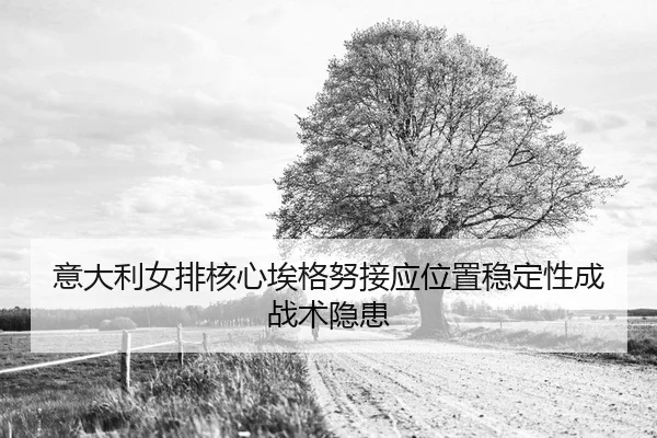 yi-da-li-nv-pai-he-xin-ai-ge-nu-jie-ying-wei-zhi-wen-ding-xing-cheng-zhan-shu-yin-huan-2-243.jpg